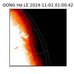 gong - 2024-11-02T01:00:42