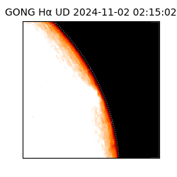 gong - 2024-11-02T02:15:02