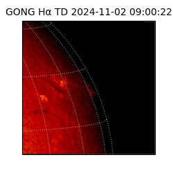 gong - 2024-11-02T09:00:22