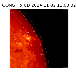 gong - 2024-11-02T11:00:02