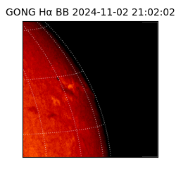 gong - 2024-11-02T21:02:02