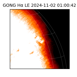 gong - 2024-11-02T01:00:42