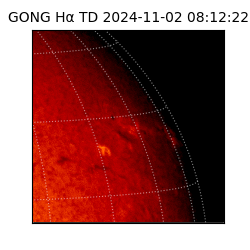 gong - 2024-11-02T08:12:22