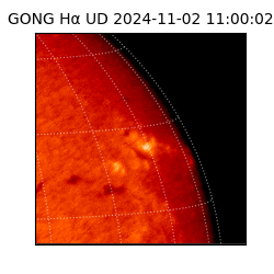 gong - 2024-11-02T11:00:02