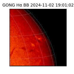 gong - 2024-11-02T19:01:02