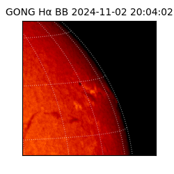 gong - 2024-11-02T20:04:02