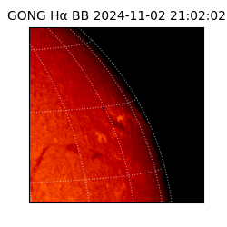 gong - 2024-11-02T21:02:02