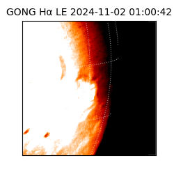 gong - 2024-11-02T01:00:42