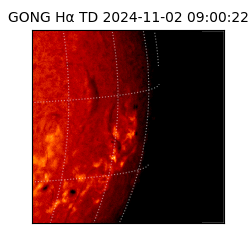 gong - 2024-11-02T09:00:22