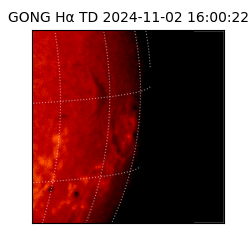 gong - 2024-11-02T16:00:22