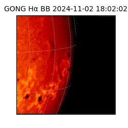 gong - 2024-11-02T18:02:02