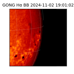 gong - 2024-11-02T19:01:02