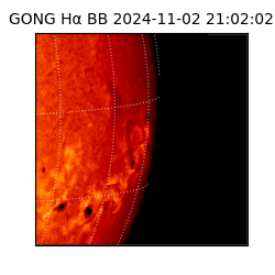 gong - 2024-11-02T21:02:02