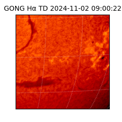 gong - 2024-11-02T09:00:22