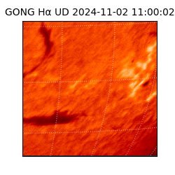 gong - 2024-11-02T11:00:02