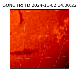 gong - 2024-11-02T14:00:22