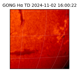 gong - 2024-11-02T16:00:22