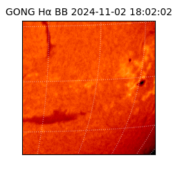 gong - 2024-11-02T18:02:02