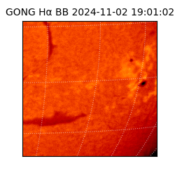 gong - 2024-11-02T19:01:02