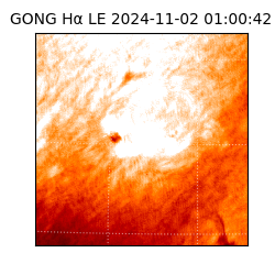 gong - 2024-11-02T01:00:42