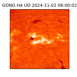 gong - 2024-11-02T06:00:02