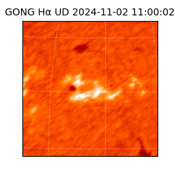 gong - 2024-11-02T11:00:02