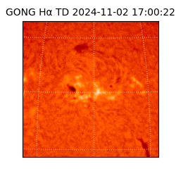 gong - 2024-11-02T17:00:22