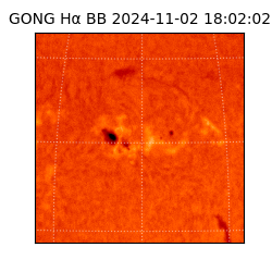 gong - 2024-11-02T18:02:02