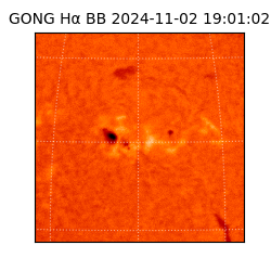 gong - 2024-11-02T19:01:02