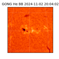 gong - 2024-11-02T20:04:02