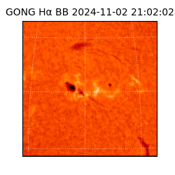 gong - 2024-11-02T21:02:02
