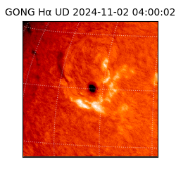 gong - 2024-11-02T04:00:02