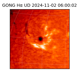 gong - 2024-11-02T06:00:02