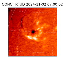 gong - 2024-11-02T07:00:02