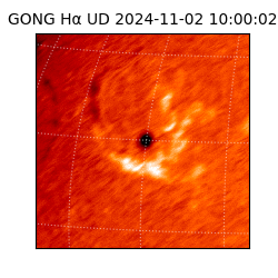 gong - 2024-11-02T10:00:02