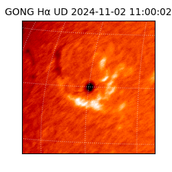 gong - 2024-11-02T11:00:02