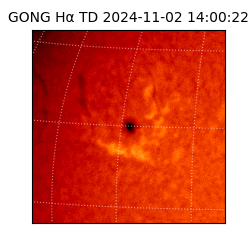 gong - 2024-11-02T14:00:22