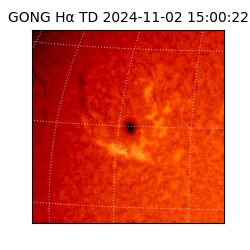 gong - 2024-11-02T15:00:22