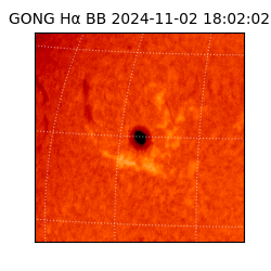 gong - 2024-11-02T18:02:02