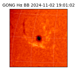 gong - 2024-11-02T19:01:02