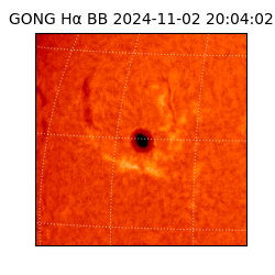 gong - 2024-11-02T20:04:02