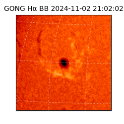 gong - 2024-11-02T21:02:02