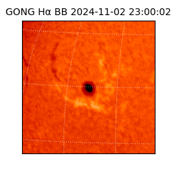 gong - 2024-11-02T23:00:02