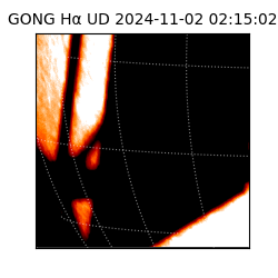 gong - 2024-11-02T02:15:02