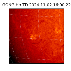 gong - 2024-11-02T16:00:22