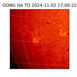 gong - 2024-11-02T17:00:22