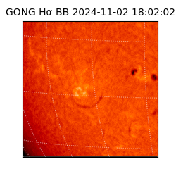 gong - 2024-11-02T18:02:02