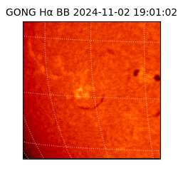 gong - 2024-11-02T19:01:02