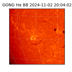 gong - 2024-11-02T20:04:02