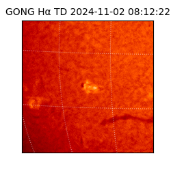 gong - 2024-11-02T08:12:22